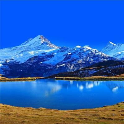 半岛·体育中国官方网站入口