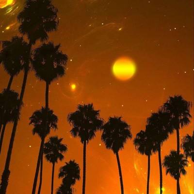 爱游戏综合官方网站App下载