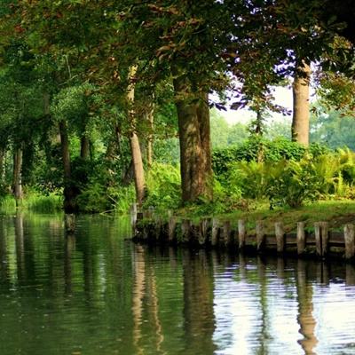 南宫28ng娱乐手机app下载