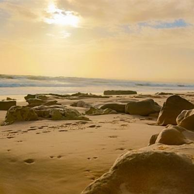 澳门精准正版资料大全下载手机版