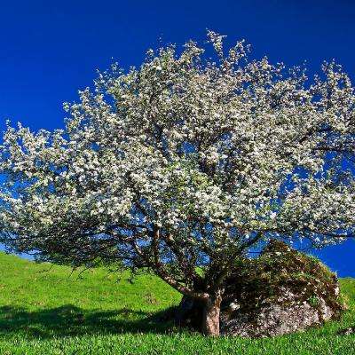 乐鱼全站官网在线登录