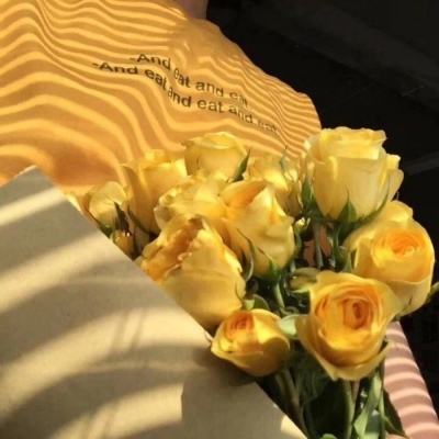 bob·体育综合appapp下载