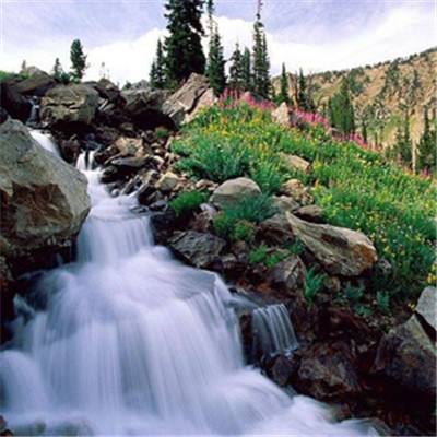 斗牛游戏大厅手机app下载